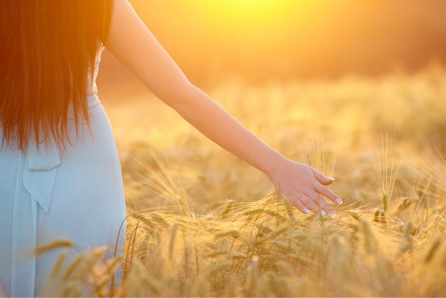 Grounding technique: spend time in nature