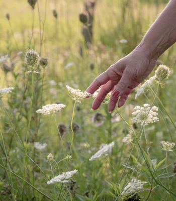 woman spending time in nature