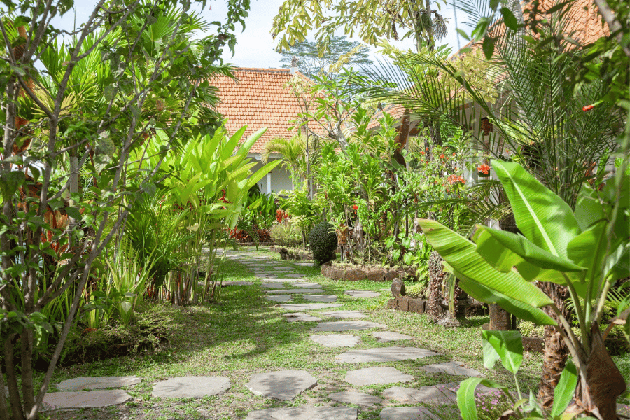 nature in Ubud Bali